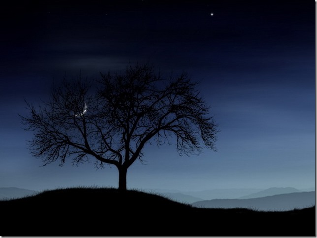 tree_night_lonely_silhouette_stars_moon_fog_1098