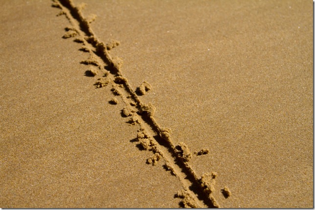 LineInSand